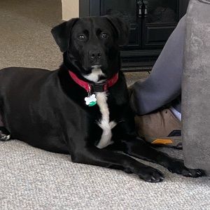 Meet your Posher, Barbara